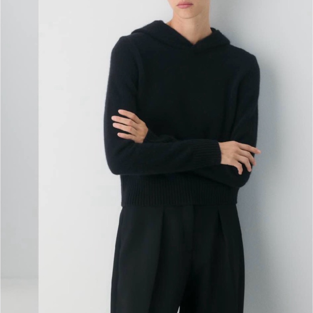 Aritzia cashmere hoodies BNWT
